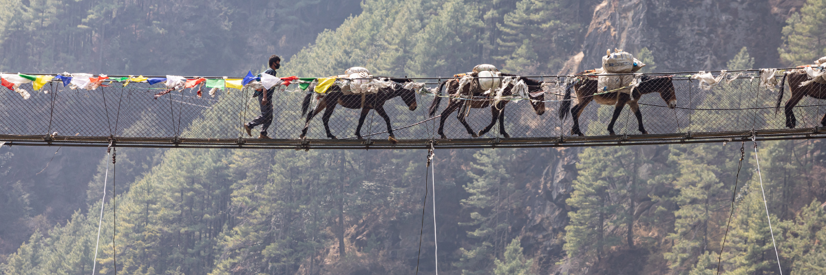 De Support Tourism - Nepal Customized Tour