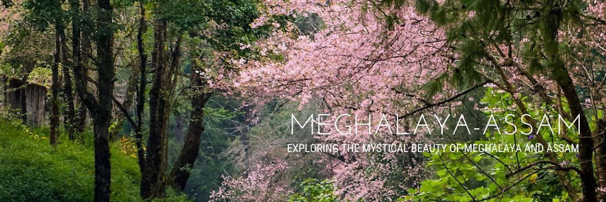 Explore the Majestic Hills and Tea Gardens of Assam and Meghalaya