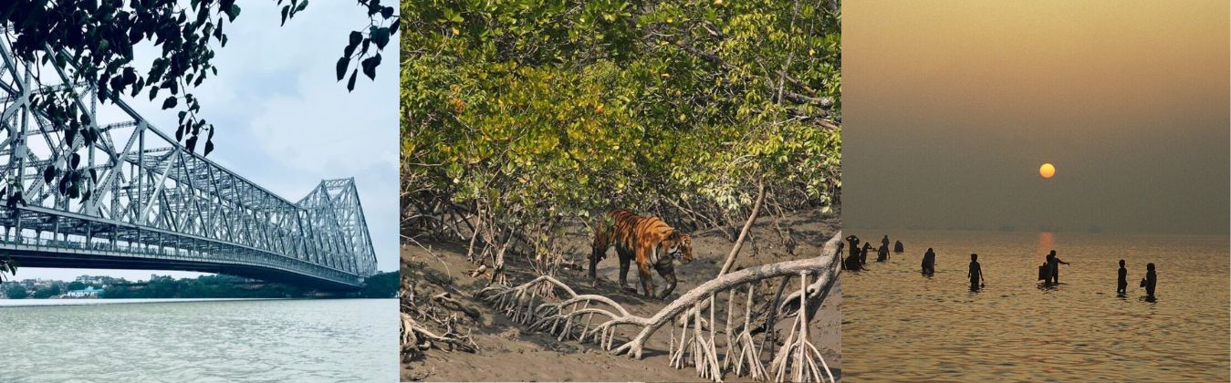 Sundarban National Park Tour – Mangrove Forest from Kolkata