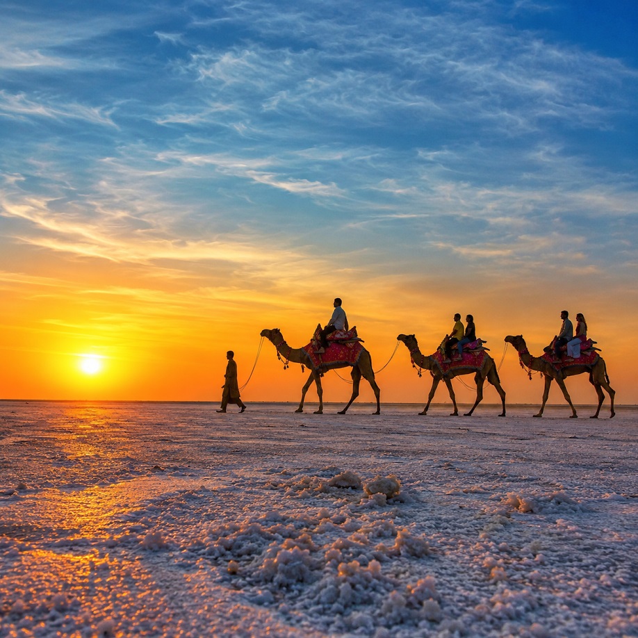 Exclusive Luxury Travel Experience Across Gujarat