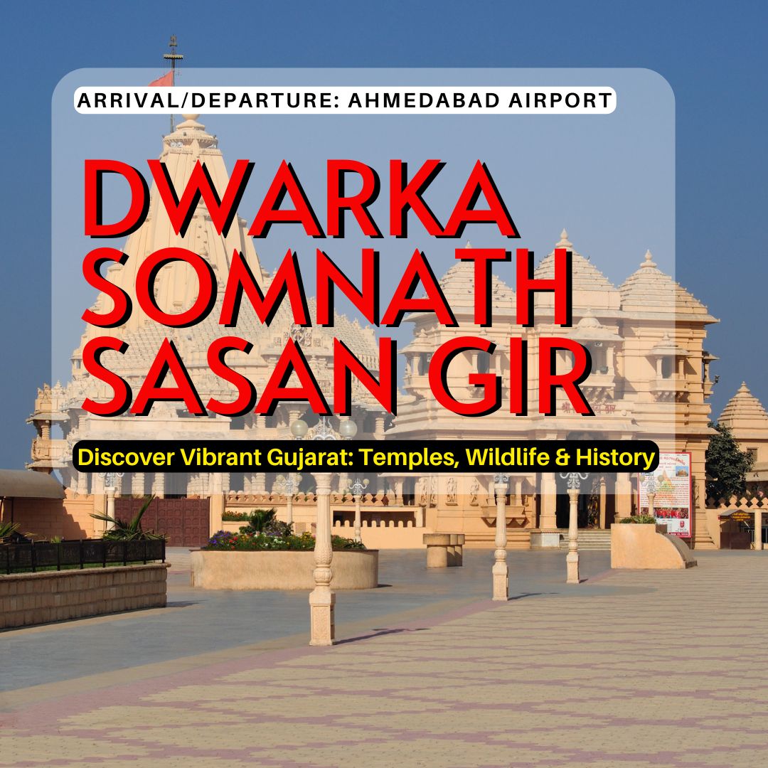 Unveiling Gujarat: From Gir Forest to White Rann